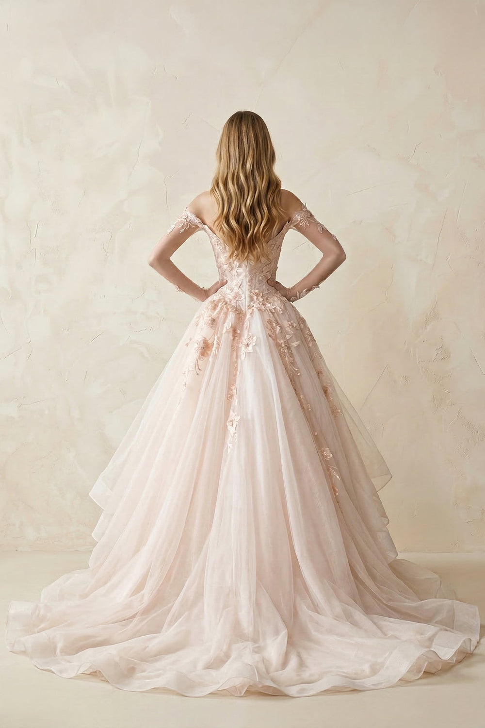 Appliqued Tulle Off-the-Shoulder Ball Gown Wedding Dress
