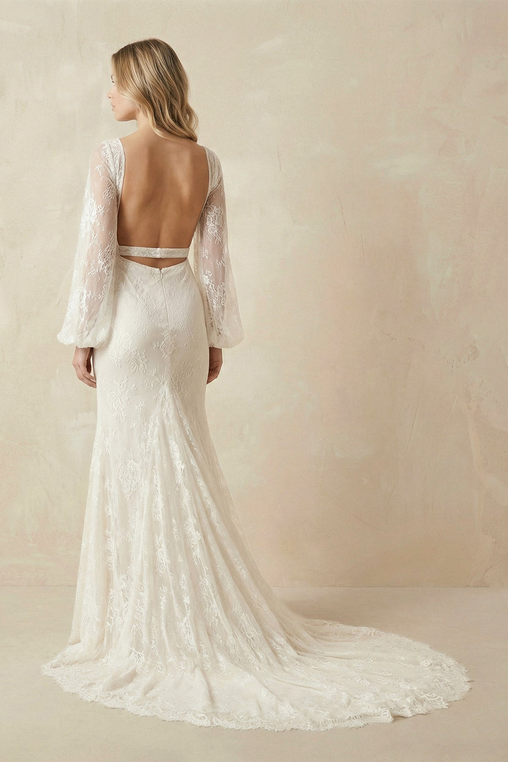 V-Neck Long Sleeve Mermaid Lace Wedding Dresses